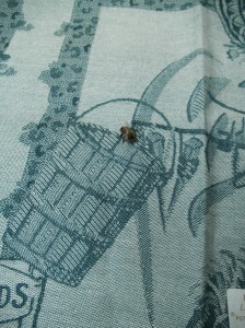 "Potager du Roi", Bienenlandeplatz