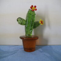 Glas-Kaktus, 2 Blüten