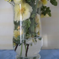 Vase Glas, Tulpenform