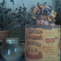 Glückwunsch-Karte Anne Geddes, British Mustard