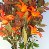 Seidenblume Feuerlilie, orange