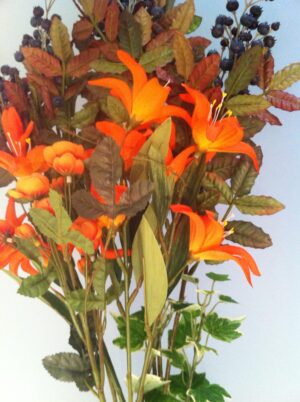 Seidenblume Feuerlilie, orange