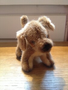 Minitier Hund schnauze