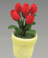 75984 Topf mit roten Tulpen