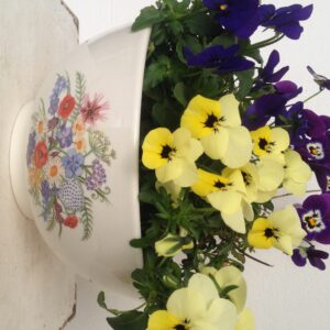 Burleigh 2te Wahl Coronation Meadow medium footed bowl 20cm bepflanzt